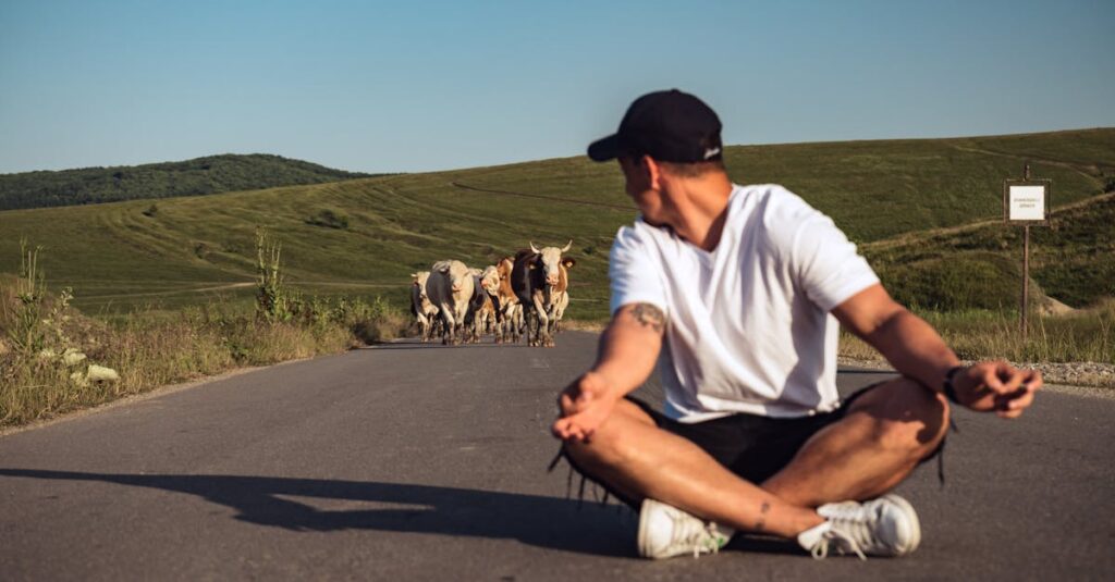 A man sits on a country road, watching a herd of cattle approach under a clear sky.